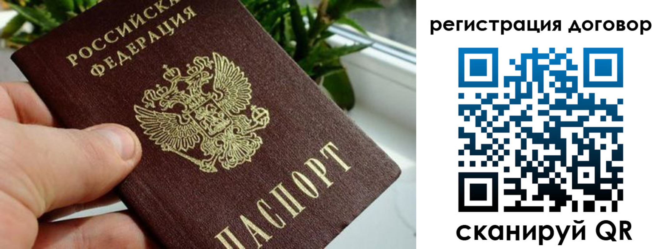 прописка ребенка в Кашине